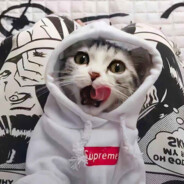 一只缺氧的咸鱼