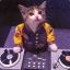 ~DJ Kibbles~