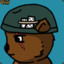 CombatWombat