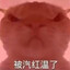 哈基冰