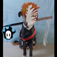 Cãorusaki Ichigo