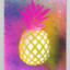 PineAppl3