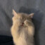 Af0nya