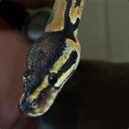 Brooksy - steam id 76561197964984999