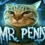 Avatar of player MISTER PENIS