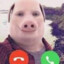 John Pork