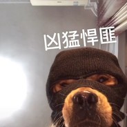 瞎玩选手**白给