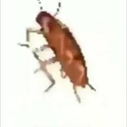 roach_gmr