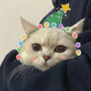 寿春锅没做你的饭