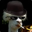 AlpacaSexy