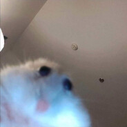 fweaky