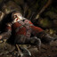grog