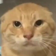 奥该死的他在肘击我