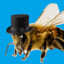 Zammbee