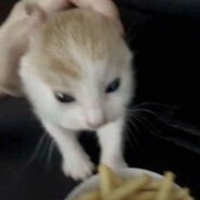 双茗