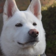 Fluffy