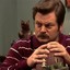 Ron Swanson