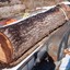 big wooden log