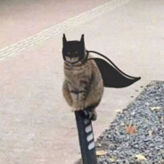 再玩坤坤要掉了