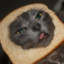 Cat-Bread