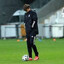adem ljajic