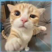 10 - steam id 76561199528461349