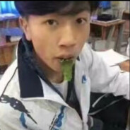 周桐立爱麻包谷