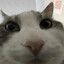 rptny4hk5yhg98tv45m6bhdirfgu4ks