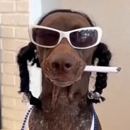 Snoop &quot;Doggy&quot; Dogg