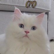 Chiyu