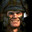 JIM WARHAMMER