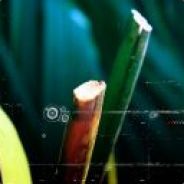 xxni - steam id 76561197965615139
