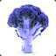 Blue Broc