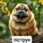 Яна Гашише