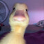 Pablo6681