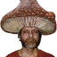 StGrib