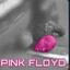 Pinky Floyd