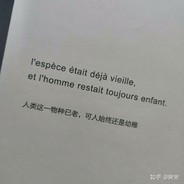 热血的大根队长