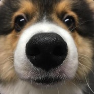 Hinni - steam id 76561197961397153