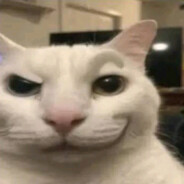 dubious little creature