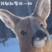 傻狍子:Fine! I yield damn it！