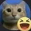 xD