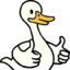 wise_goose