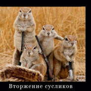 Суслик_переросто