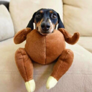 𝕳𝖚9𝖑𝕭𝖔𝖚𝖓