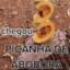 (nem aqueci) Picanha de Abóbora