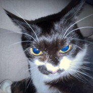 东北雨姐大汗脚