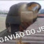 Gavião do J5