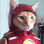 IRON CATMAN