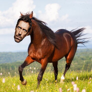 Dr. Horse
